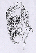Skizzen II